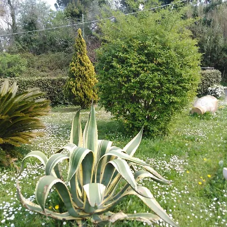 La Via Del Sole بيت ضيافة *